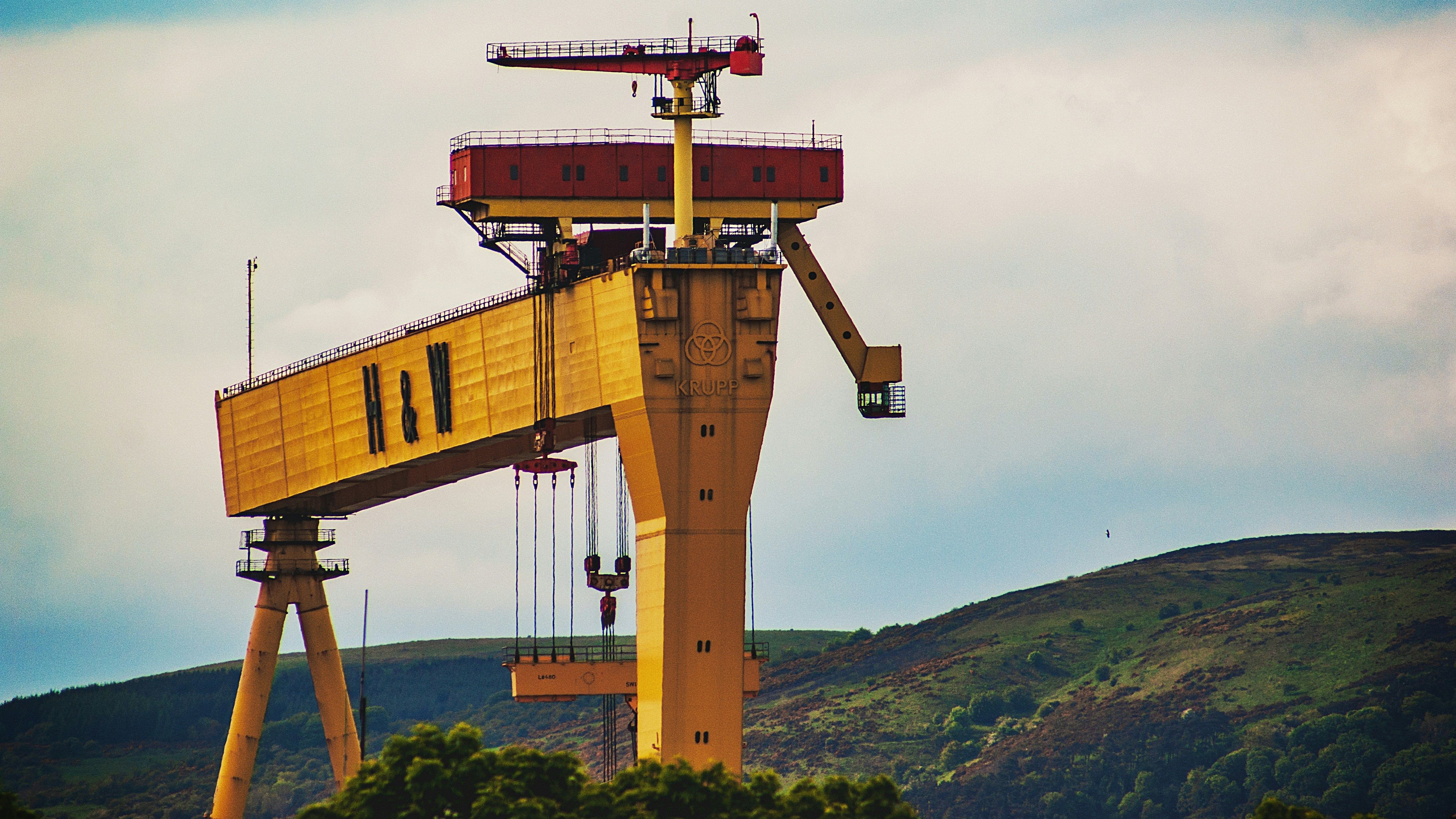 Harland & Wolff cranes, Belfast